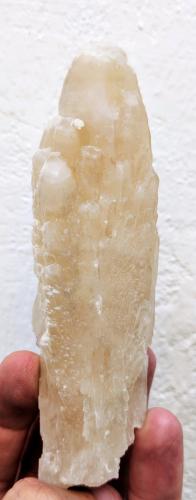 Celestina<br />Celestine deposit, Hurchillo floodgates, Tajo-Segura irrigation system, Arneva, Orihuela, Comarca Vega Baja del Segura, Alicante / Alacant, Valencian Community / Comunitat Valenciana, Spain<br />12,5 x 3,6 cm.<br /> (Autor: Carles)