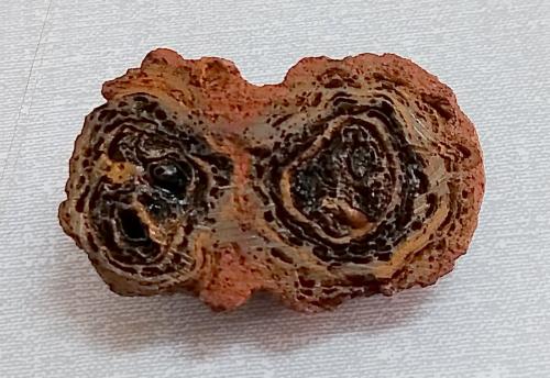 Goethita<br />Campus Federal University of Lavras, Lavras, Campo das Vertentes, Minas Gerais, Brazil<br />4,3 x 2,1 x 2,4 cm<br /> (Autor: Anisio Claudio)