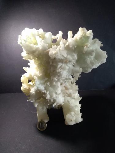 Aragonite<br />Mina San Giovanni, Punta della Torre, Iglesias, Provincia Sud Sardegna, Cerdeña/Sardegna, Italia<br />23 x 20 cm<br /> (Author: Sante Celiberti)