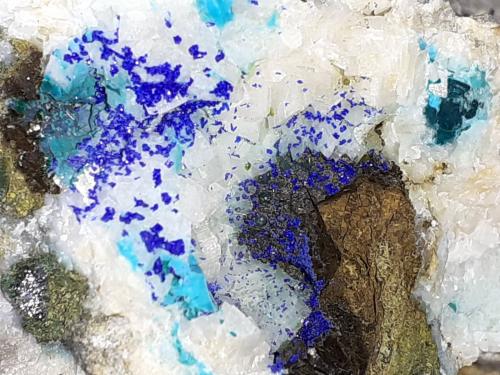 Azurite, Malachite, Chrysokolla, Zn-Olivenite, Dolomite<br />Ringenwechsel Mining District, Troi, District Schwaz, Inn Valley, North Tyrol, Tyrol/Tirol, Austria<br />7 x 5 cm<br /> (Author: Volkmar Stingl)