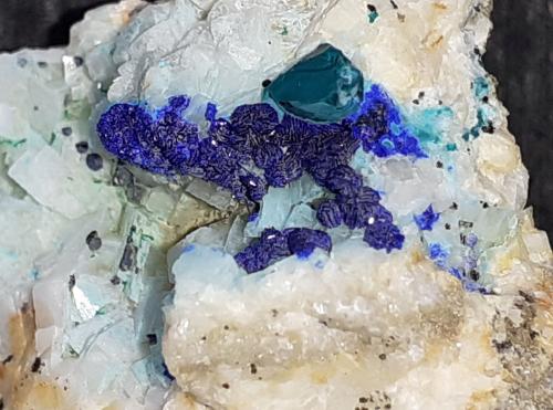 Azurite, Malachite, Dolomite<br />Ringenwechsel Mining District, Troi, District Schwaz, Inn Valley, North Tyrol, Tyrol/Tirol, Austria<br />3 x 3 cm<br /> (Author: Volkmar Stingl)