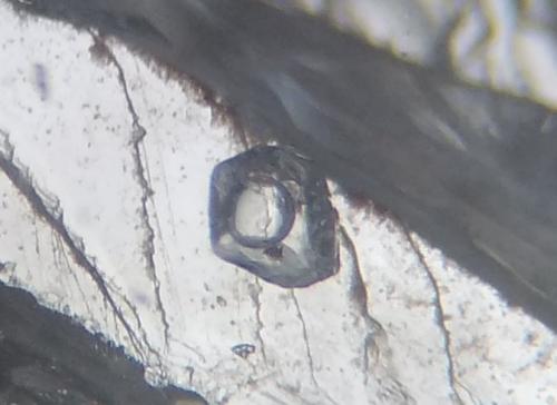 Topacio<br />Mimoso do Sul, Espirito Santo, Sudeste Region, Brazil<br />Inclusión con 0,3 x 0,3 mm<br /> (Autor: Anisio Claudio)