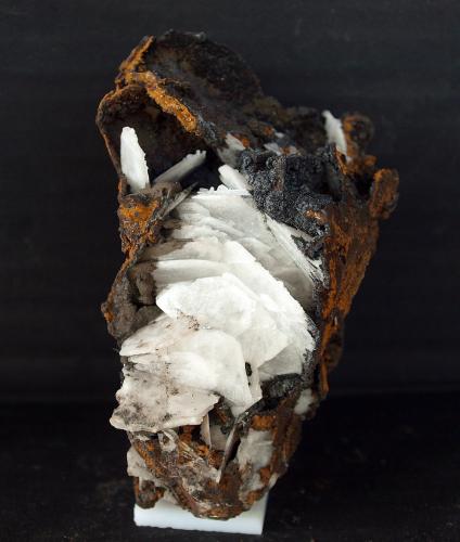 Barita<br />Barranco Las Nogueras, Campos de Golf, Atamaría, Cartagena, Comarca Campo de Cartagena, Región de Murcia (Murcia), España<br />8 x 5 cm<br /> (Autor: Fed..Esp..de Mineralogía)