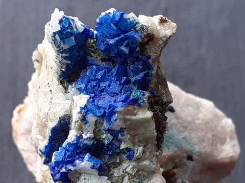 Azurite on Dolomite, Malachite<br />Ringenwechsel Mining District, Troi, District Schwaz, Inn Valley, North Tyrol, Tyrol/Tirol, Austria<br />3 x 2 cm<br /> (Author: Volkmar Stingl)