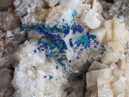 Azurite, Malachite, Dolomite<br />Ringenwechsel Mining District, Troi, District Schwaz, Inn Valley, North Tyrol, Tyrol/Tirol, Austria<br />4,5 x 3 cm<br /> (Author: Volkmar Stingl)