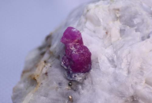 Corundum (variety ruby)<br />Ali Abad, Hunza Valley, Nagar District, Gilgit-Baltistan (Northern Areas), Pakistan<br />57mm x 42mm x 32mm<br /> (Author: Firmo Espinar)
