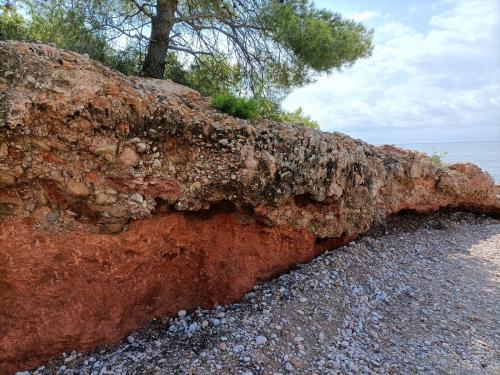 En la parte inferior sedimentos lutíticos rojizos cubiertos por niveles de conglomerados.
Cala Maria, Cap Roig, L’Ampolla, Baix Ebre, Tarragona (Autor: Frederic Varela)