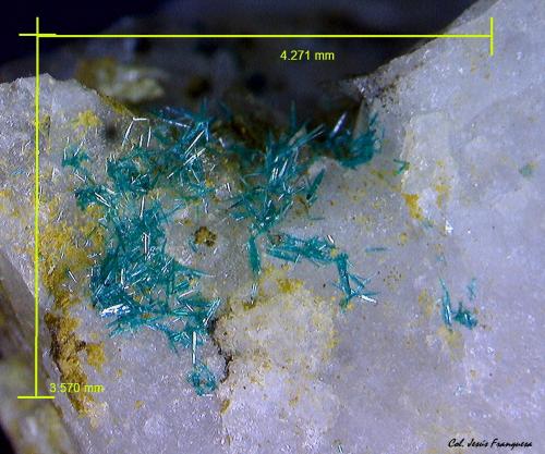 Brochantita.<br />Cuevas del Almanzora, Comarca Levante Almeriense, Almería, Andalucía, España<br />4´271 x 3´570 mm.<br /> (Autor: Jesus Franquesa Baucells)