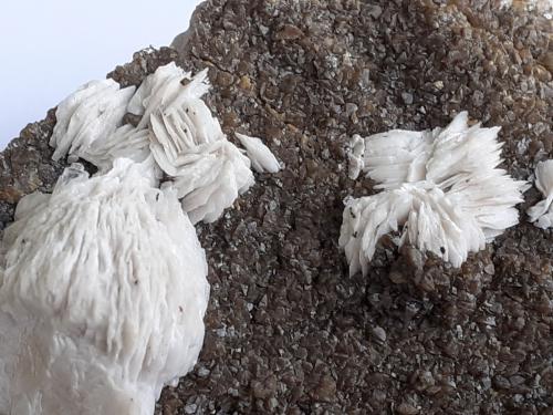 Baryte, Calcite, Sphalerite<br />Stefanie Mine, Bleiberg mining area, Bad Bleiberg, Villach-Land District, Carinthia/Kärnten, Austria<br />6 x 5 cm<br /> (Author: Volkmar Stingl)