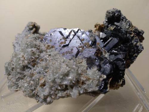 Galena, Sphalerite, Quartz<br />Dalnegorsk, Dalnegorsk Urban District, Primorsky Krai, Russia<br />82 x 66 mm<br /> (Author: Sante Celiberti)