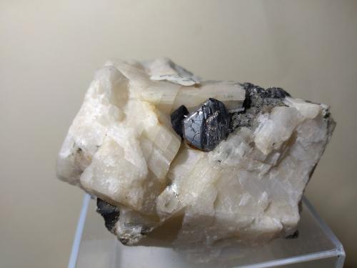 Carrollite, Bornite<br />Kamoya South II Mine, Kamoya, Kambove District, Katanga Copper Crescent, Katanga (Shaba), Democratic Republic of the Congo (Zaire)<br />78 x 72 mm<br /> (Author: Sante Celiberti)