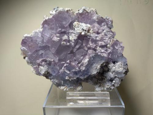 Fluorite<br />Hilarion Mine, Hilarion area, Kamariza Mines, Agios Konstantinos, Lavrion Mining District, Attikí (Attica) Prefecture, Greece<br />11,5 x 9 cm<br /> (Author: Sante Celiberti)