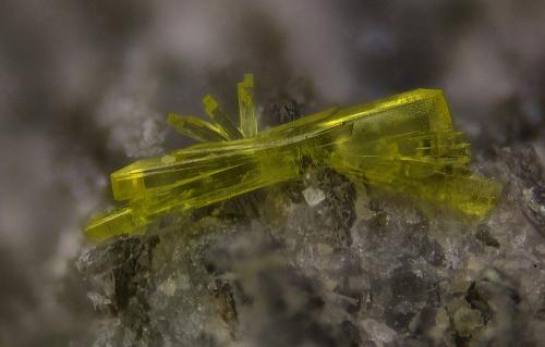 Haiweeite<br />Pasel adit, Radhausberg, Gastein Valley, St. Johann im Pongau, Hohe Tauern, Salzburg, Austria<br />FOV 1,1 mm<br /> (Author: Gerhard Brandstetter)