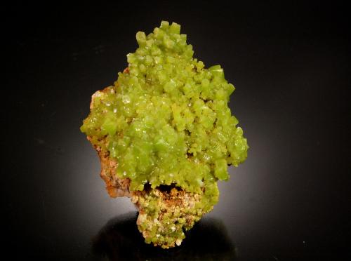 Pyromorphite<br />Mina San Andrés, Espiel, Comarca Valle del Guadiato, Córdoba, Andalucía, España<br />6.2 x 4.5 x 2.3 cm<br /> (Author: Michael Shaw)