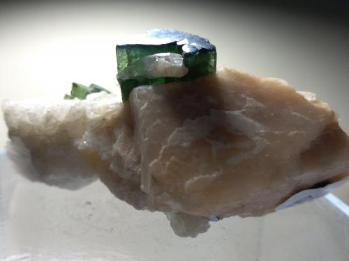 Elbaite<br />Concesión Pederneira, São José da Safira, Governador Valadares, Vale do Rio Doce, Minas Gerais, Brasil<br />66 x 34 mm<br /> (Author: Sante Celiberti)