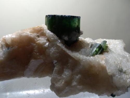 Elbaite<br />Concesión Pederneira, São José da Safira, Governador Valadares, Vale do Rio Doce, Minas Gerais, Brasil<br />66 x 34 mm<br /> (Author: Sante Celiberti)