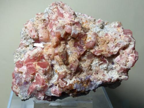 Rhodochrosite<br />Wutong Mine, Liubao, Cangwu, Wuzhou Prefecture, Guangxi Zhuang Autonomous Region, China<br />80 x 64 mm<br /> (Author: Sante Celiberti)