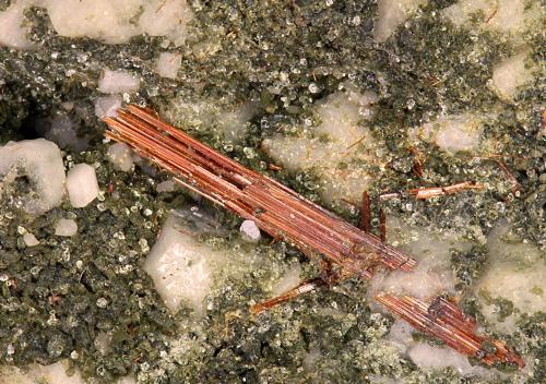 Rutile<br />Grauleitenspitz, Gastein Valley, St. Johann im Pongau, Hohe Tauern, Salzburg, Austria<br />crystal size 15 mm<br /> (Author: Gerhard Brandstetter)