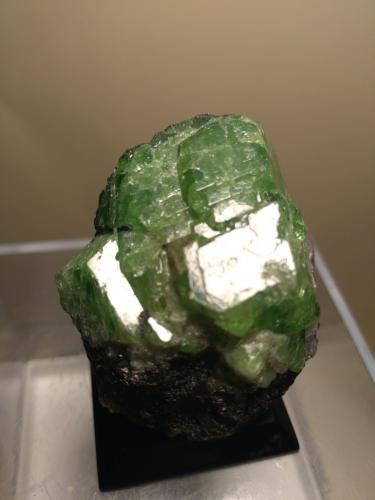 Tsavorite, Graphite<br />Merelani Hills, Lelatema Mountains, Simanjiro District, Manyara Region, Tanzania<br />43 x 37 mm<br /> (Author: Sante Celiberti)