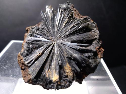 Vivianite<br />Península Kerch, Península Crimea, Crimea Oblast, Rusia<br />47 x 42 mm<br /> (Author: Sante Celiberti)