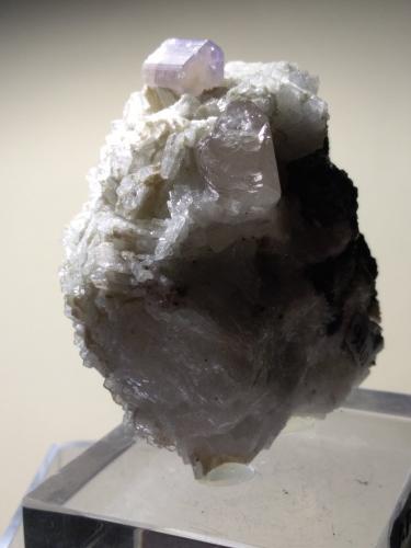 Fluorapatite, Topaz, Albite<br />Valle Shigar, Distrito Shigar, Gilgit-Baltistan (Áreas del Norte), Paquistán<br />59 x 56 mm<br /> (Author: Sante Celiberti)