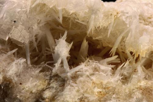 Celestine on Fluorite<br />Hammam-Zriba Mine, Zriba, Zaghouan Governorate, Tunisia<br />FOV 25 mm<br /> (Author: Gerhard Brandstetter)