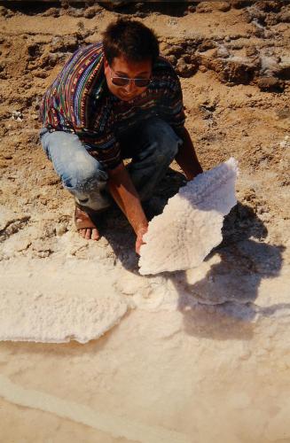 _Halite<br />Chott el Djerid, Between Tozeur y Douz, Kebili Governorate, Great Eastern Sand Sea, Tunisia<br />ca. 50 cm<br /> (Author: Gerhard Brandstetter)