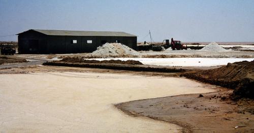 _<br />Chott el Djerid, Between Tozeur y Douz, Kebili Governorate, Great Eastern Sand Sea, Tunisia<br /><br /> (Author: Gerhard Brandstetter)