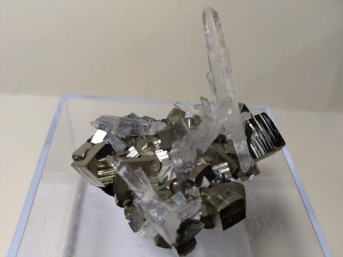 Pyrite, Quartz<br />Huaron mining district, Huayllay District, Pasco Province, Pasco Department, Peru<br />56 x 41 mm<br /> (Author: Sante Celiberti)