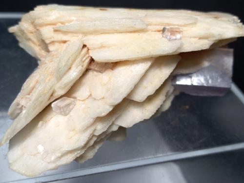 Baryte, Fluorite<br />Berbes mining area, Berbes, Ribadesella, Comarca Oriente, Principality of Asturias (Asturias), Spain<br />58 x 33 mm<br /> (Author: Sante Celiberti)