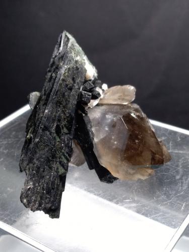 Aegirine, Quartz<br />Monte Malosa, Distrito Zomba, Malawi<br />53 x 52 mm<br /> (Author: Sante Celiberti)