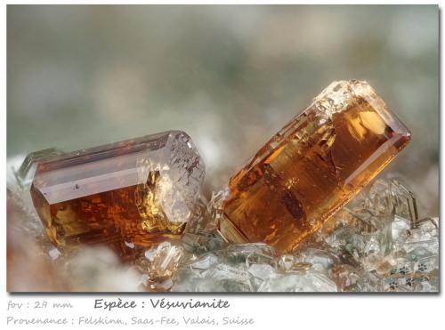 Vesuvianite<br />Felskinn, Fee Glacier, Saas Fee, Saas Valley, Zermatt - Saas Fee, Wallis (Valais), Switzerland<br />fov 2.9 mm<br /> (Author: ploum)