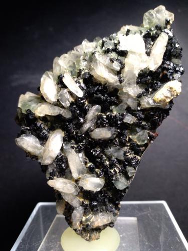 Epidota, Albita, Hematites, Anfibol (Supergrupo) (variedad Byssolita)<br />Valle Varaita (Val Varaita), Provincia Cuneo, Piamonte (Piemonte), Italia<br />94 x 67 mm<br /> (Autor: Sante Celiberti)