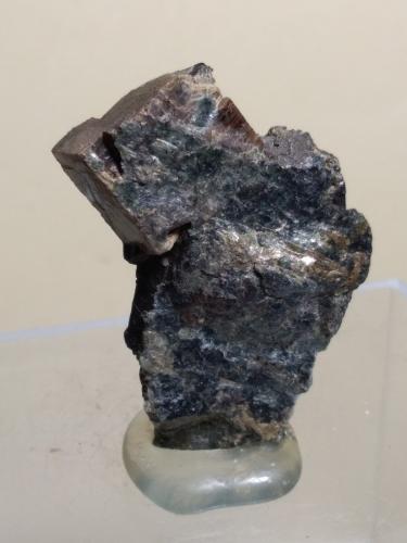 Perovskita<br />Rocca Sella, Almese, Susa Valley, Metropolitan City of Turin Province, Piedmont (Piemonte), Italy<br />44 x 31 mm<br /> (Autor: Sante Celiberti)