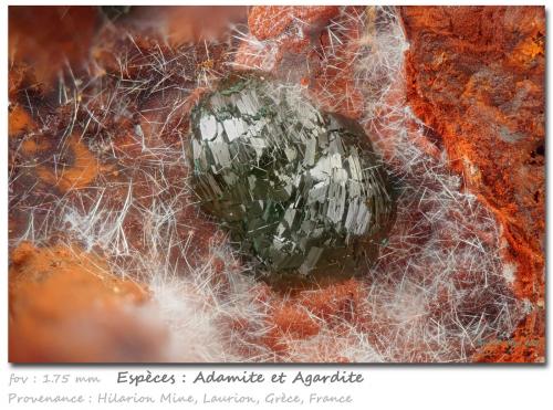 Adamite<br />Hilarion Mine, Hilarion area, Kamariza Mines, Agios Konstantinos, Lavrion Mining District, Attikí (Attica) Prefecture, Greece<br />fov 1.75 mm<br /> (Author: ploum)