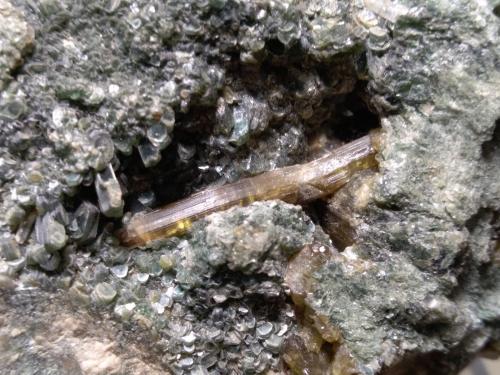 Clinozoisita, Clinochloro<br />Val di Susa, Provincia Ciudad metropolitana de Turín, Piamonte (Piemonte), Italia<br />72 x 62 mm<br /> (Autor: Sante Celiberti)
