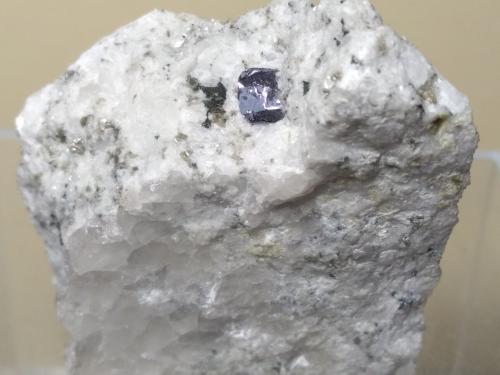 Molibdenita<br />Cadarese Quarries, Premia gneiss Quarries, Premia, Antigorio Valley, Ossola Valley, Verbano-Cusio-Ossola Province, Piedmont (Piemonte), Italy<br />48 x 40 mm<br /> (Autor: Sante Celiberti)