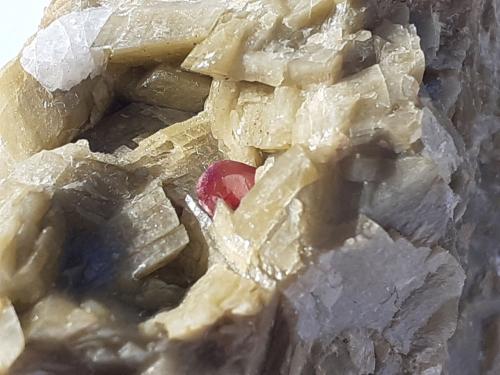 Cinnabar, Siderite<br />Erzberg, Eisenerz (Steiermark), Leoben District, Styria/Steiermark, Austria<br />FoV ca. 1 x 1,5 cm<br /> (Author: Volkmar Stingl)