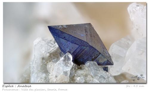 Anatase<br />Ville des Glaciers, Saboya, Auvergne-Rhône-Alpes, Francia<br />fov 4.5 mm<br /> (Author: ploum)