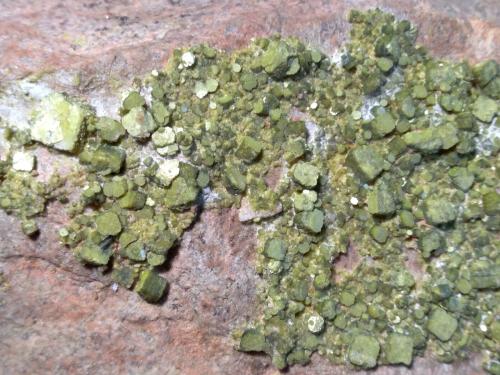Autunite.<br />Saint-Symphorien-de-Marmagne, Montcenis, Distrito Autun, Saône-et-Loire, Bourgogne-Franche-Comté, Francia<br />17,5 x 10 cm<br /> (Author: Sante Celiberti)