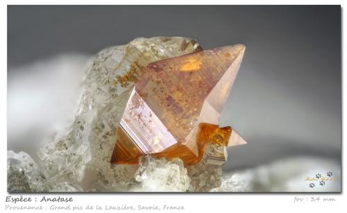 Anatase<br />Grand Pic de la Lauzière, Macizo La Lauzière, Saint-Jean-de-Maurienne, Saboya, Auvergne-Rhône-Alpes, Francia<br />fov 3.4 mm<br /> (Author: ploum)