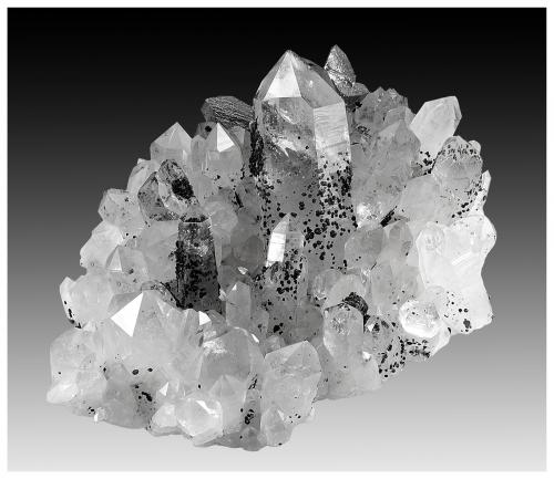 Quartz, Arsenopyrite and Chlorite (Group)<br />Minas da Panasqueira, Aldeia de São Francisco de Assis, Covilhã, Castelo Branco, Cova da Beira, Centro, Portugal<br />22 cm x 16 cm x 9 cm<br /> (Author: silvia)