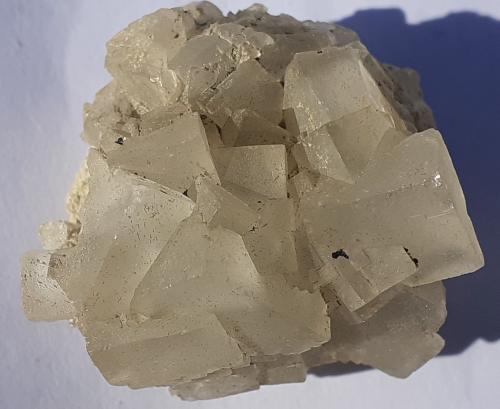 Fluorite<br />Vignola Mine, Valsugana, Vignola-Falesina, Trento Province, Trentino-Alto Adige (Trentino-Südtirol), Italy<br />3 x 3 cm<br /> (Author: Volkmar Stingl)