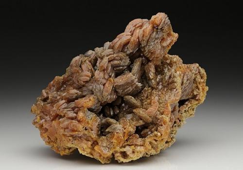 Pyromorphite<br />Les Farges Mine (Des Farges Mine), Ussel, Corrèze, Nouvelle-Aquitaine, France<br />113 mm X 75 mm X 70 mm<br /> (Author: Robert Seitz)