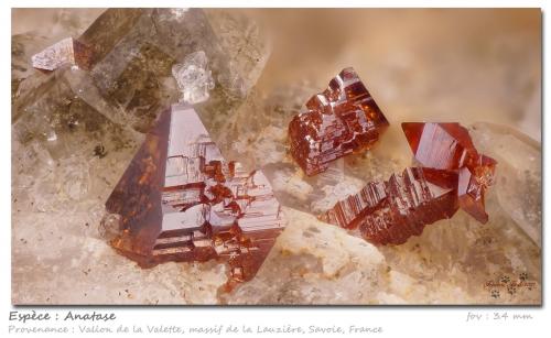Anatase<br />Vallon de la Valette, Macizo La Lauzière, Saint-Jean-de-Maurienne, Saboya, Auvergne-Rhône-Alpes, Francia<br />fov 3.4 mm<br /> (Author: ploum)