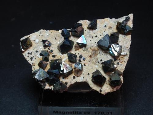 Magnetita<br />Cerro Huañaquino, Paco Grande, Provincia Tomás Frías, Departamento Potosí, Bolivia<br />60x45 mm<br /> (Autor: Ignacio)