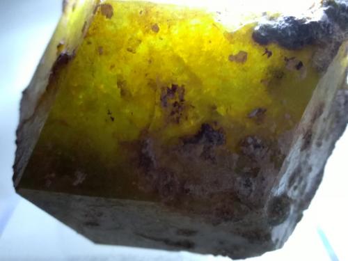 Andradite-Grossular Series<br />Sibinndi, zona Sangafe, Comunidad Diakon, Arrondissement Diakon, Cercle Bafoulabé, Region Kayes, Mali<br />75 x 72 mm<br /> (Author: Sante Celiberti)