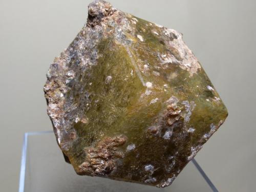 Andradite-Grossular Series<br />Sibinndi, Sangafe area, Commune Diakon, Arrondissement Diakon, Bafoulabé Circle, Kayes Region, Mali<br />75 x 72 mm<br /> (Author: Sante Celiberti)