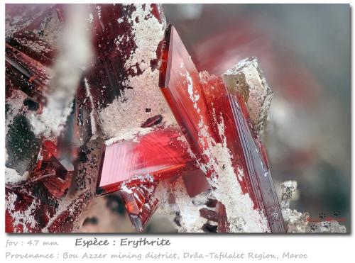 Erythrite<br />Bou Azzer mining district, Drâa-Tafilalet Region, Morocco<br />fov 4.7 mm<br /> (Author: ploum)