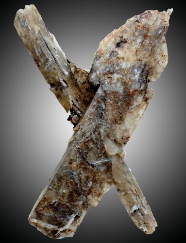 Yeso<br />Los Yesares, Valera de Abajo, Las Valeras, Comarca Serranía Media, Cuenca, Castilla-La Mancha, Spain<br />100 x 60 x 8 mm.<br /> (Autor: José Luis Zamora)
